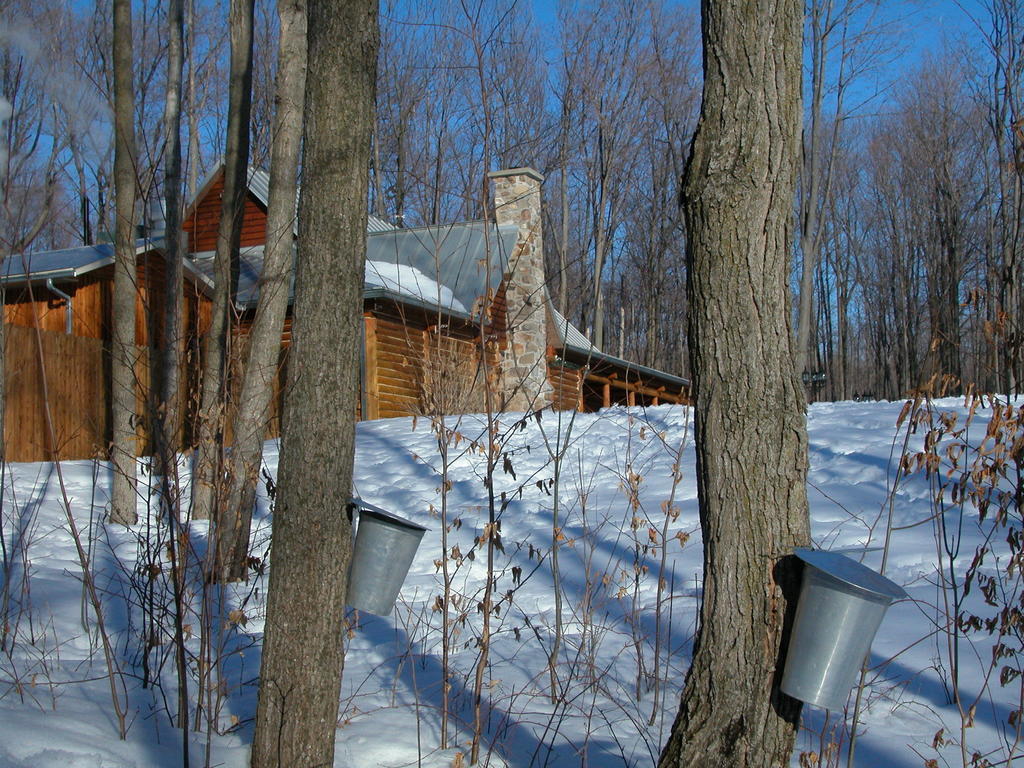 Auberge Des Gallant Rigaud Bagian luar foto