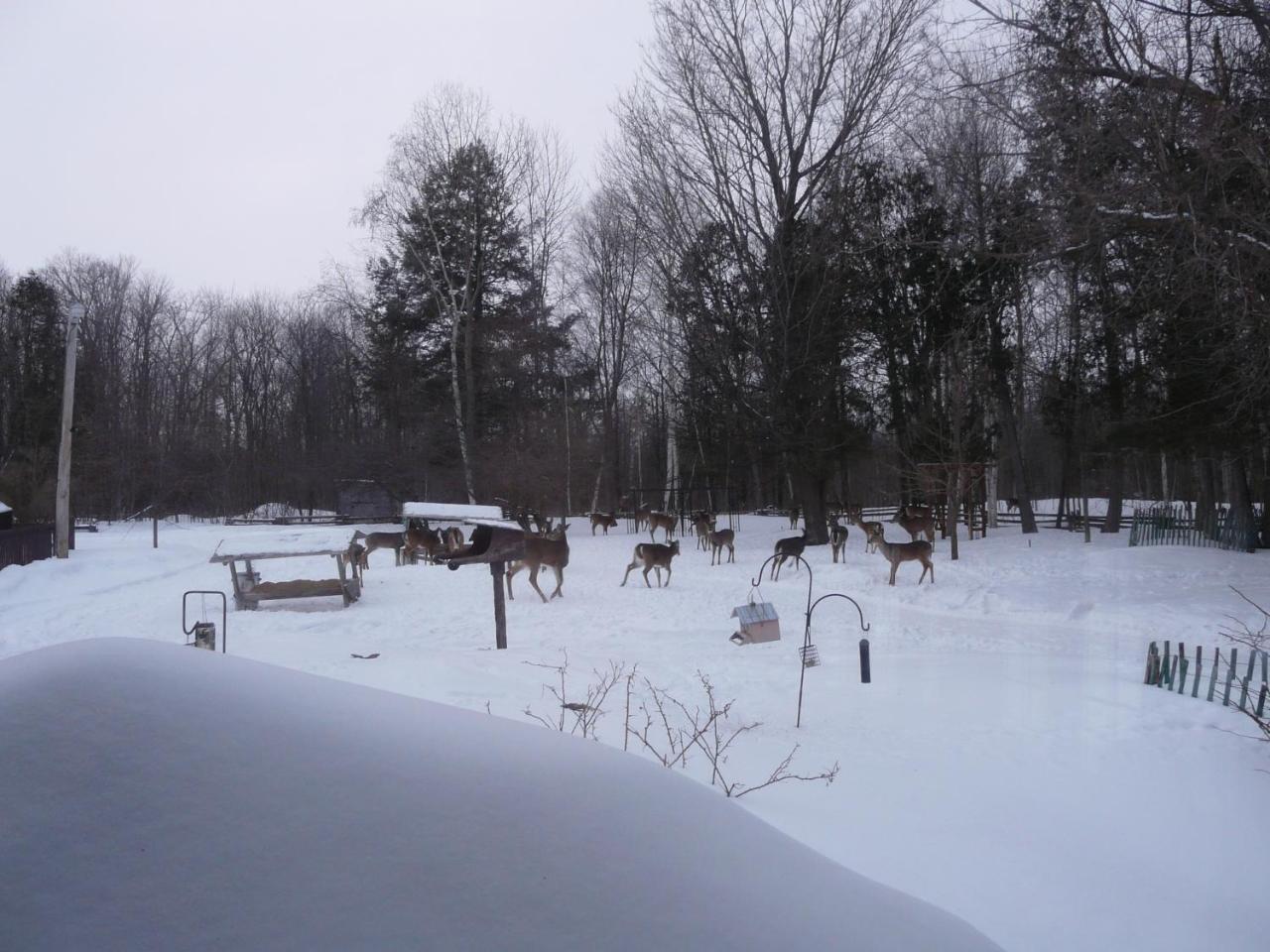 Auberge Des Gallant Rigaud Bagian luar foto